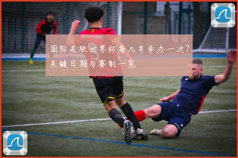国际足联世界杯每几年举办一次？关键日期与赛制一览