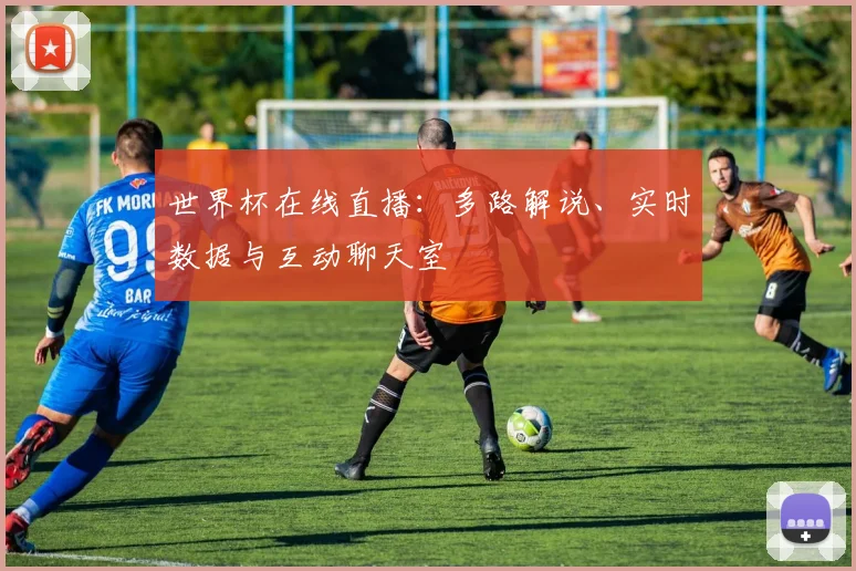 世界杯在线直播：多路解说、实时数据与互动聊天室